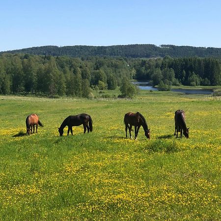Apartmán Torpgarden Oennerudsvaegen 56 Torsby Exteriér fotografie