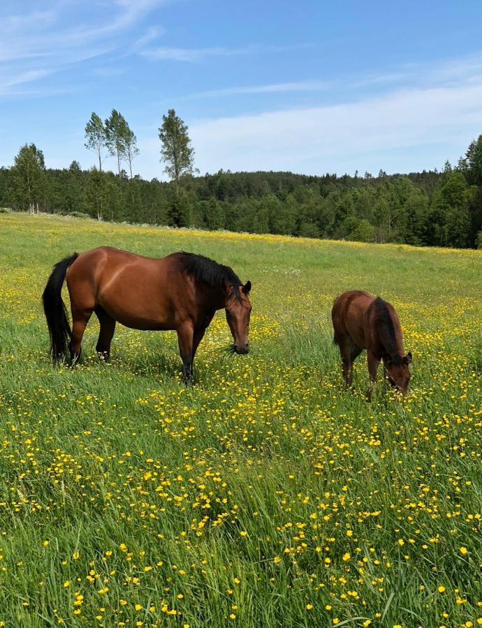 Apartmán Torpgarden Oennerudsvaegen 56 Torsby Exteriér fotografie