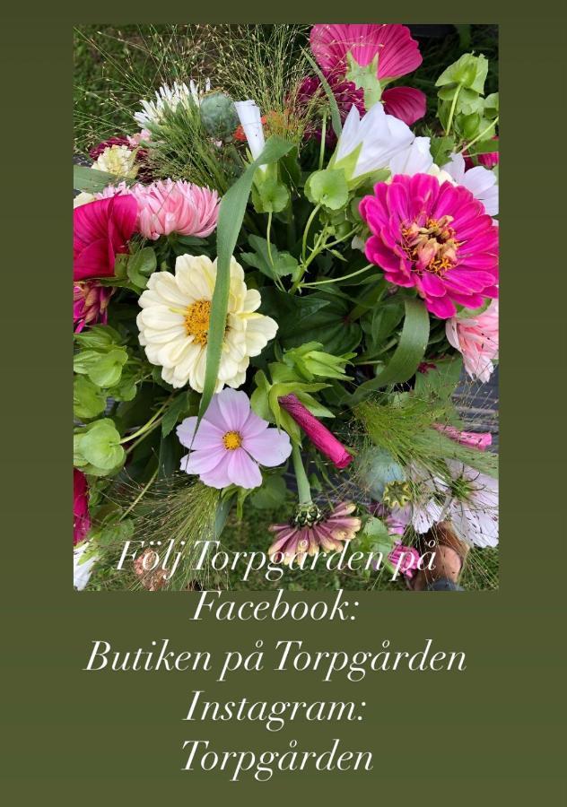 Apartmán Torpgarden Oennerudsvaegen 56 Torsby Exteriér fotografie