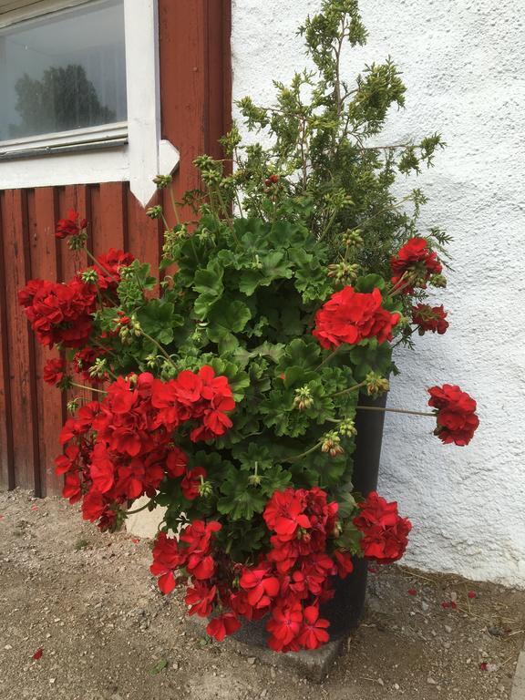 Apartmán Torpgarden Oennerudsvaegen 56 Torsby Exteriér fotografie
