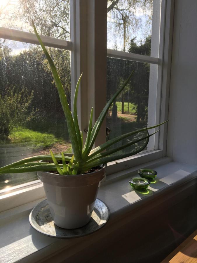 Apartmán Torpgarden Oennerudsvaegen 56 Torsby Exteriér fotografie